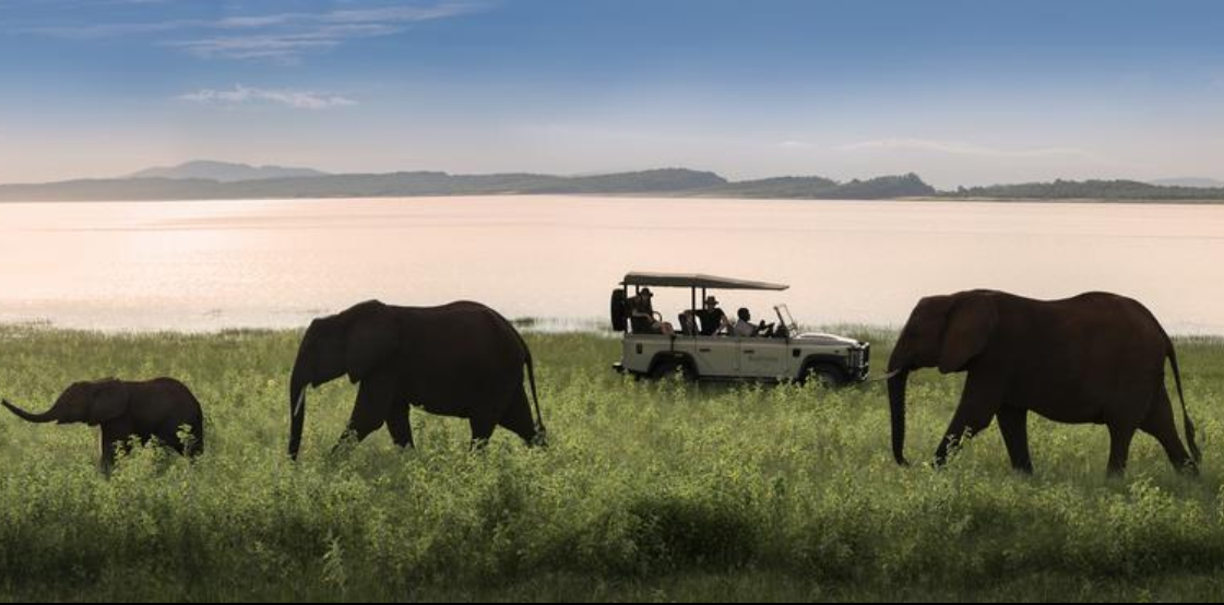 Zimbabwe – Still So Much to See and Do on Your Southern African Safari
