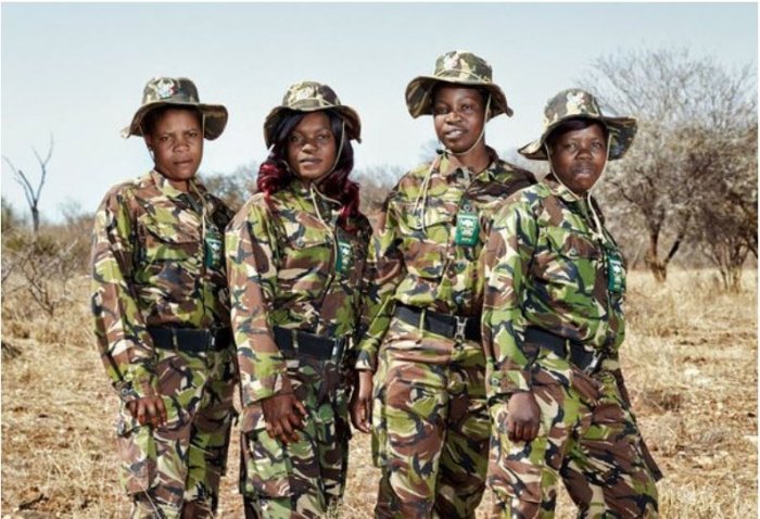Unique Forces at Work in Balule Game Reserve