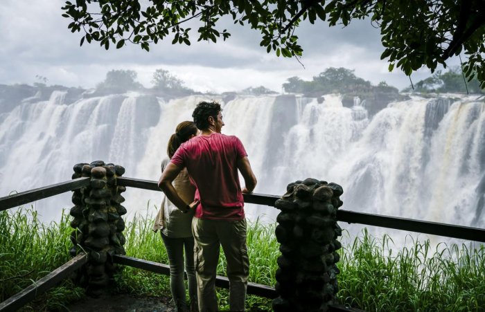 The Shots You Simply Have to Take During Your Southern African Safari 