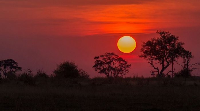 Enjoying the Okavango Delta at its Driest
