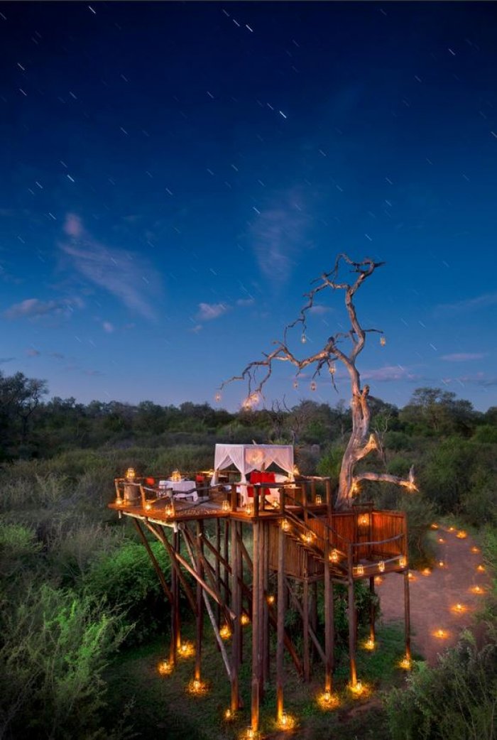 Southern Africa’s Best Treehouses