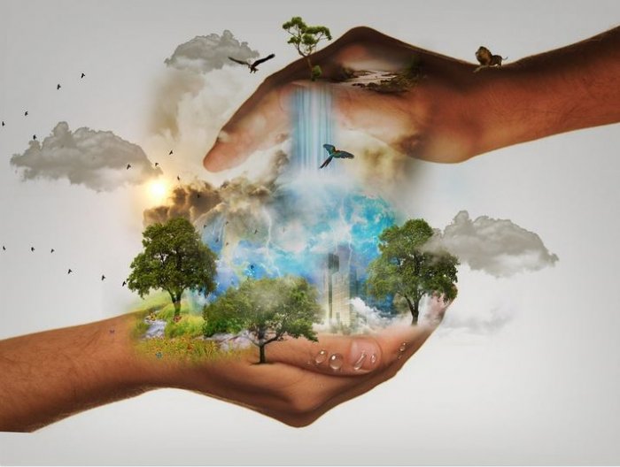 Gaming for the Greater Good – A New Kind of Nature Conservation