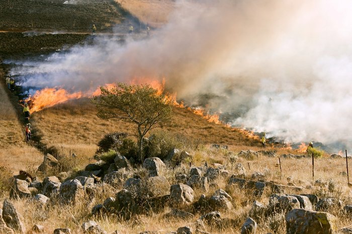 Putting out Fires with Botswana Conservation 