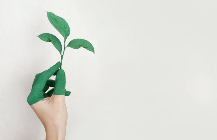Carbon Offsetting in the Travel Realm 