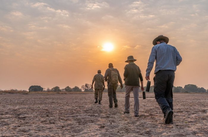 Should You Take a Walk on Your Next Southern African Safari?