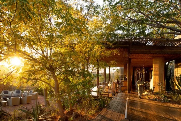Why African Safaris are a Great Alternative to Cruises