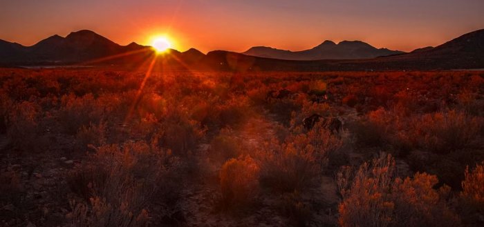 A Southern African Safari – an Ideal Antidote to the Winter Blues