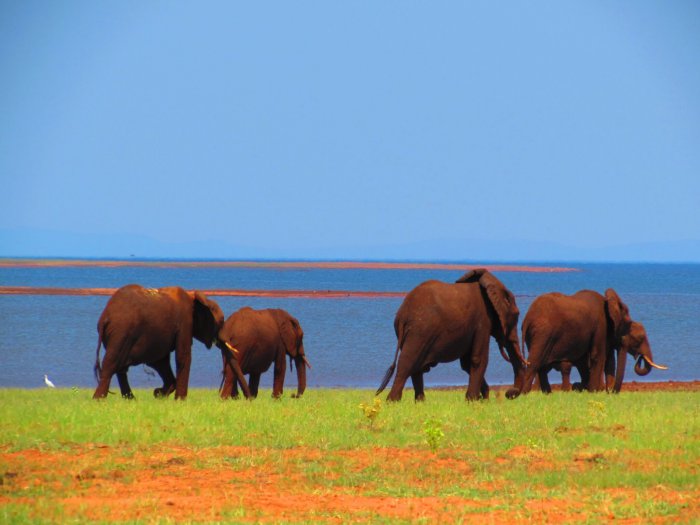 A 10-Day Sustainable Tourism Safari to Zimbabwe