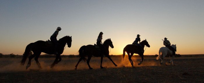 Unusual Safari Lodges in Botswana