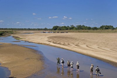Zambia - Walking Safaris