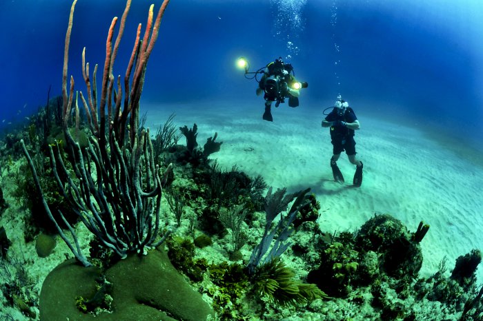 Diving at Sodwana Bay