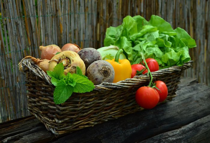 Cape Town’s Harvest of Hope