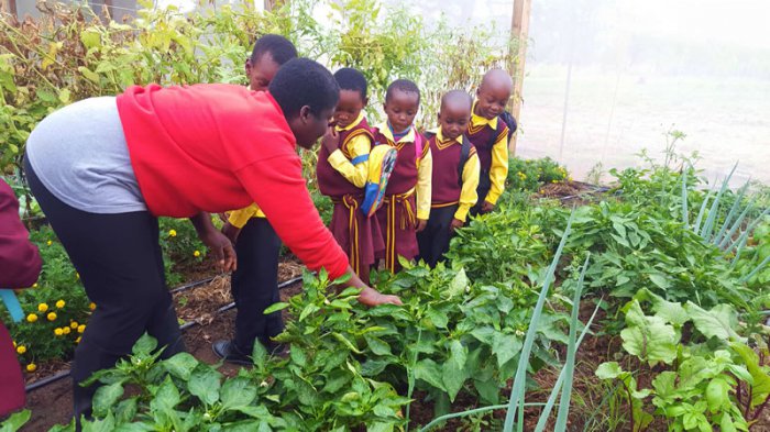 Sowing The Seeds Of Empowerment For Africa