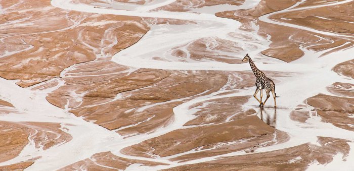 Loving Southern Africa’s Wildest Places