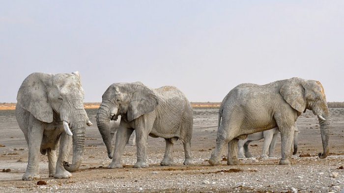 10 Things You Need to Know About Namibia