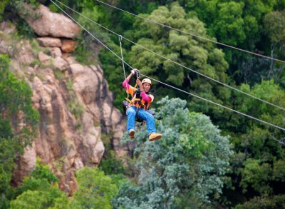 Cape Canopy Tours