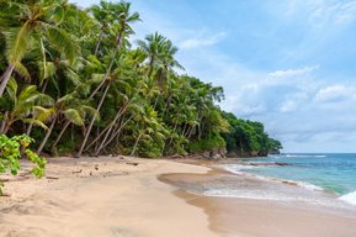 Experience the Best of Mauritius on Your Southern African Safari