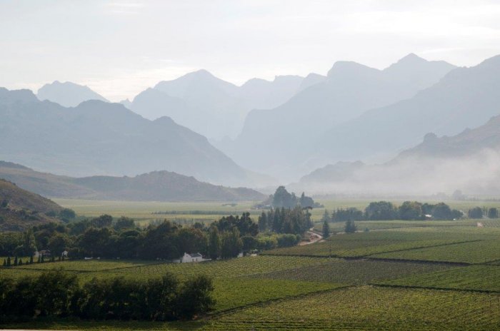 Get More of the Cape Winelands on Your Southern African Safari