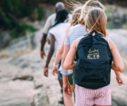 Family Safari & Cape Town Adventure: A perfect African Getaway