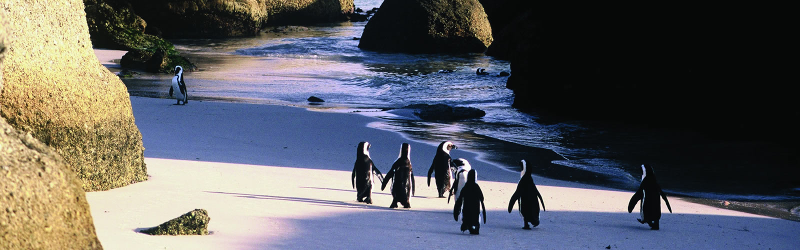 bucket list trips