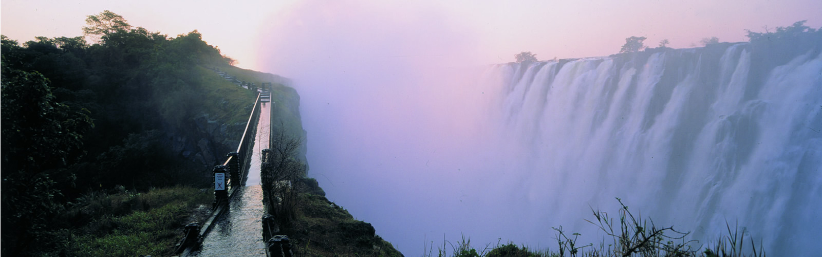 safari experiences