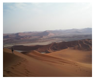 The best of Namibia and Kruger