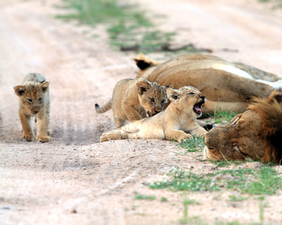 South Africa