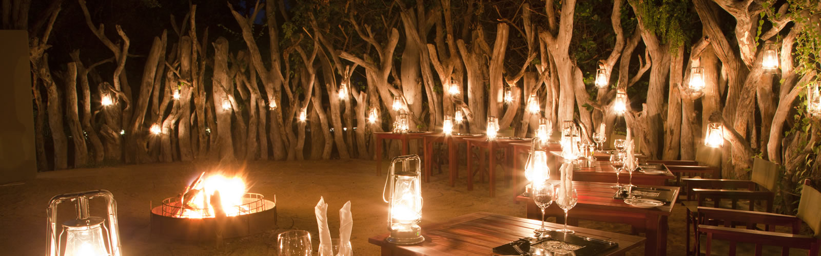 undeveloped safari experience