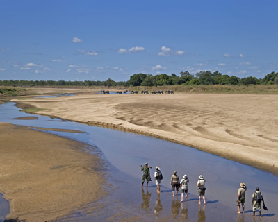 second largest national park in Africa